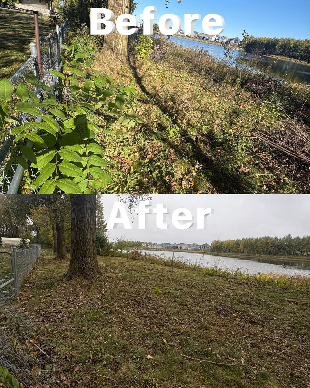 Before and after comparison of a cleared area by the river, showcasing landscaping improvements.