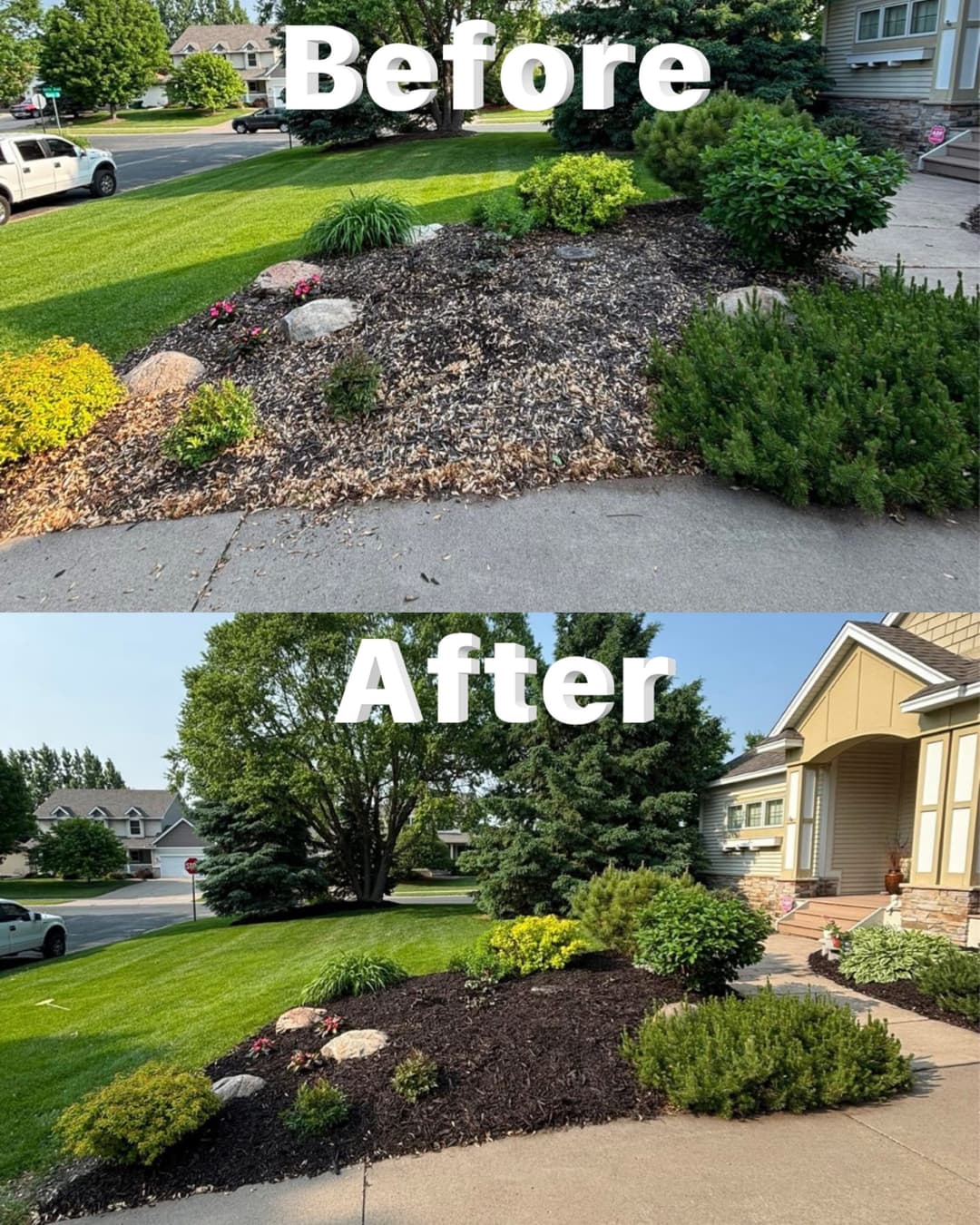 Before and after landscaping transformation showcasing vibrant plants and clean mulch.