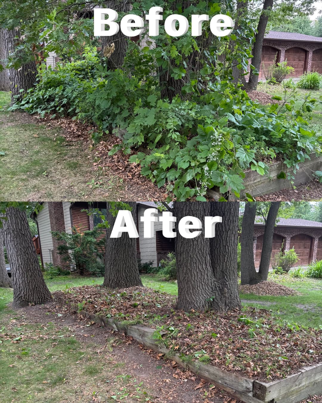 Before and after yard clean-up showing overgrown plants transformed to neatly trimmed garden.