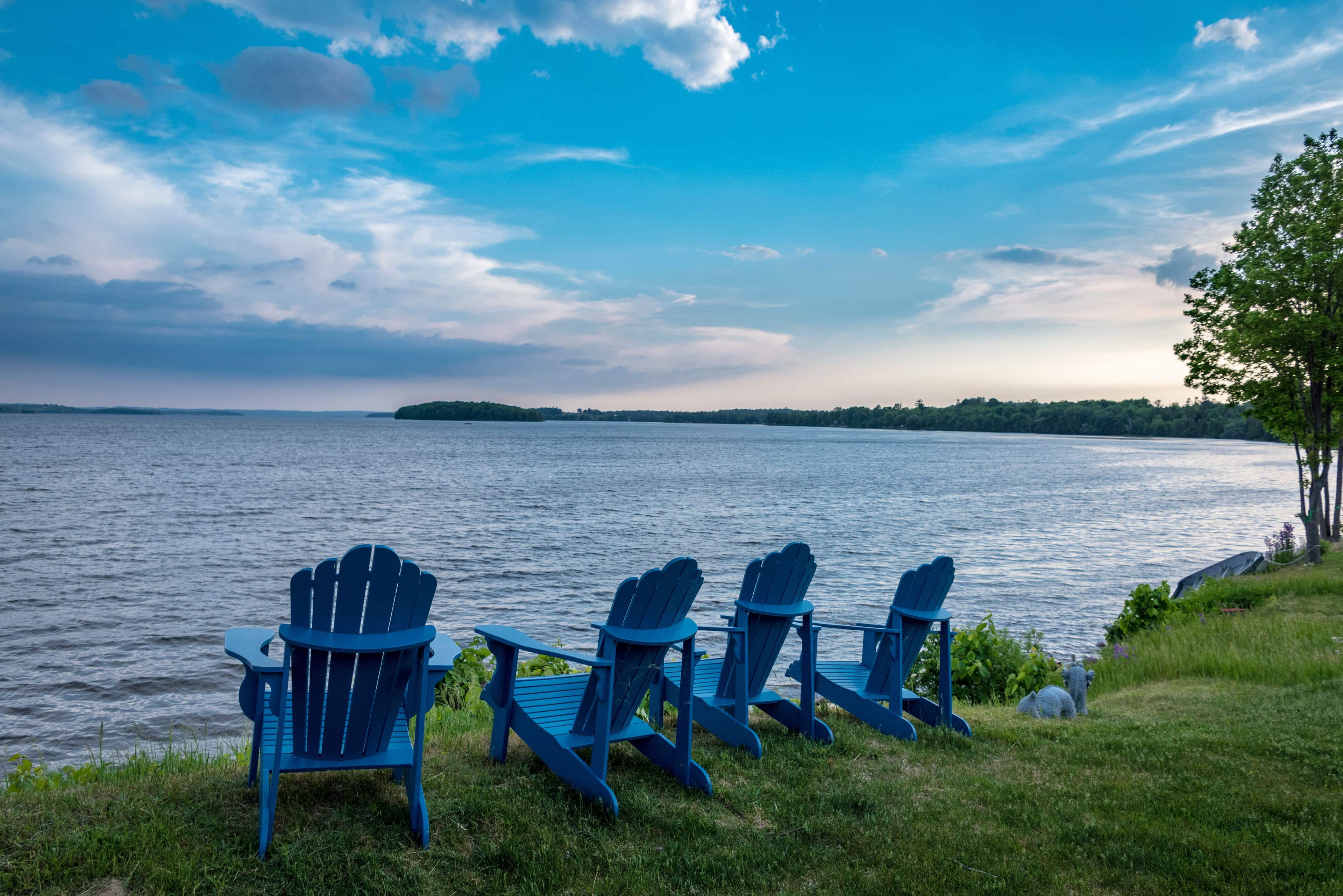 Shoreline Restoration image