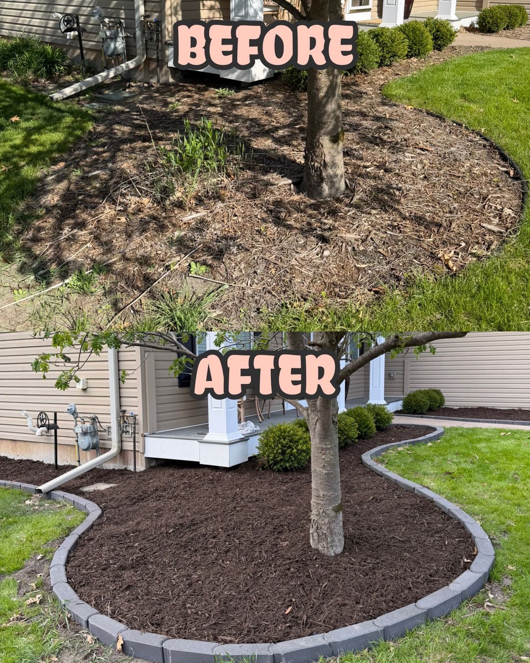 Landscape makeover before and after with fresh mulch and defined curbing around a tree.