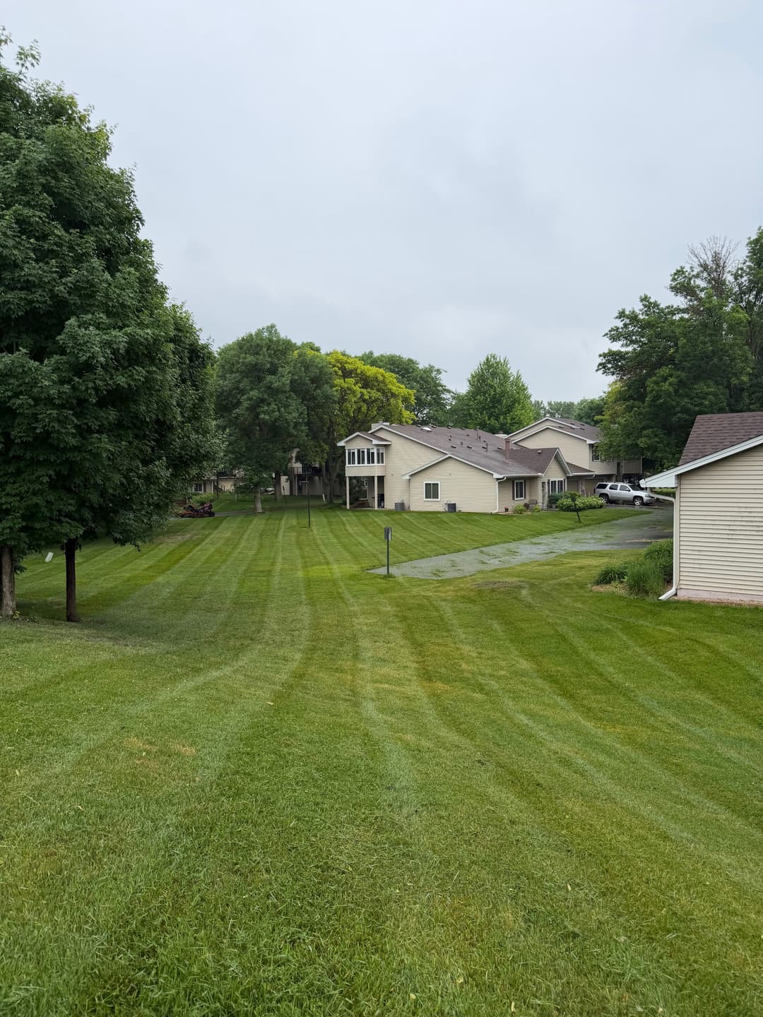 Lawn with freshly mowed stripes and houses in a suburban neighborhood on a cloudy day.
