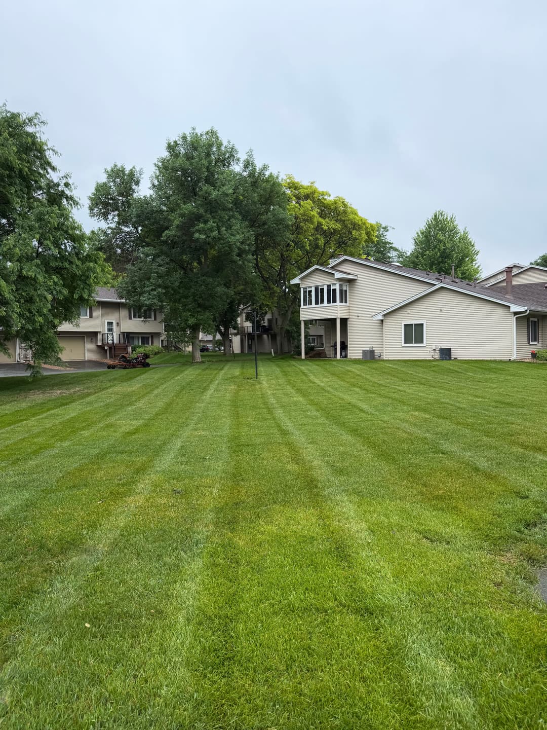 Lush green lawn with well-maintained stripes and residential homes in the background.
