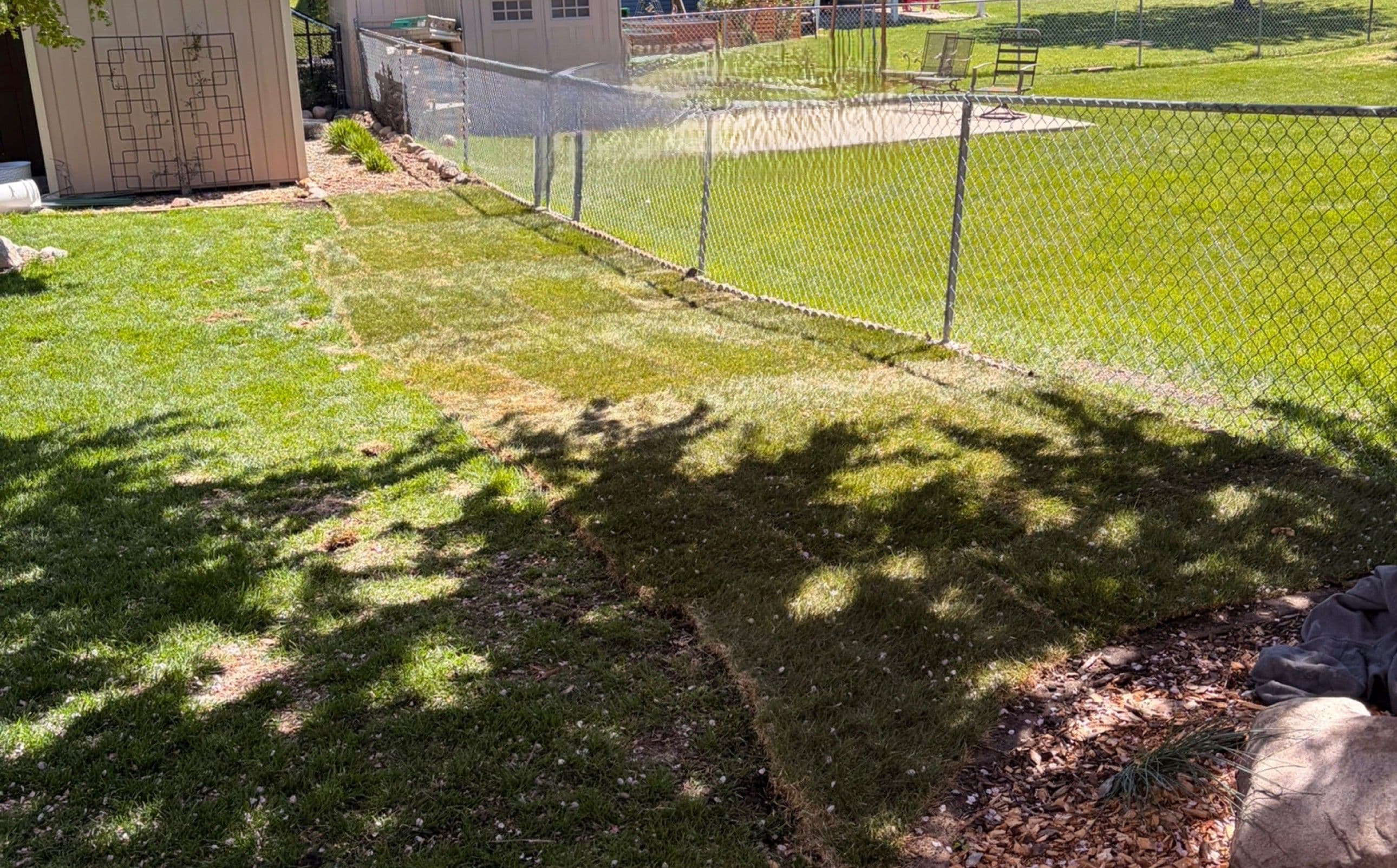 Sod Installation image