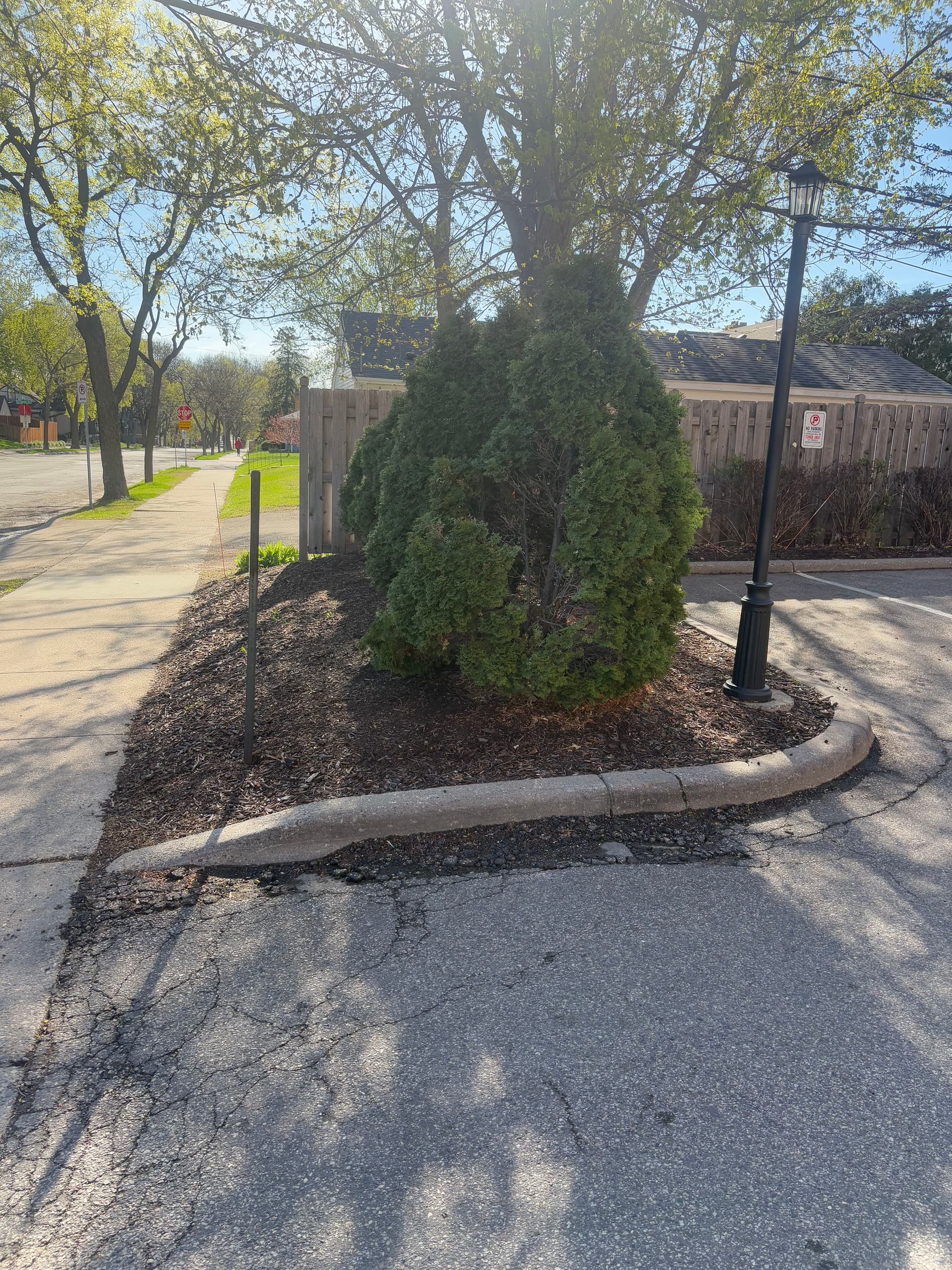 Gallery photos for Commercial Landscape Bed Refresh at Edina Daycare: Image #4