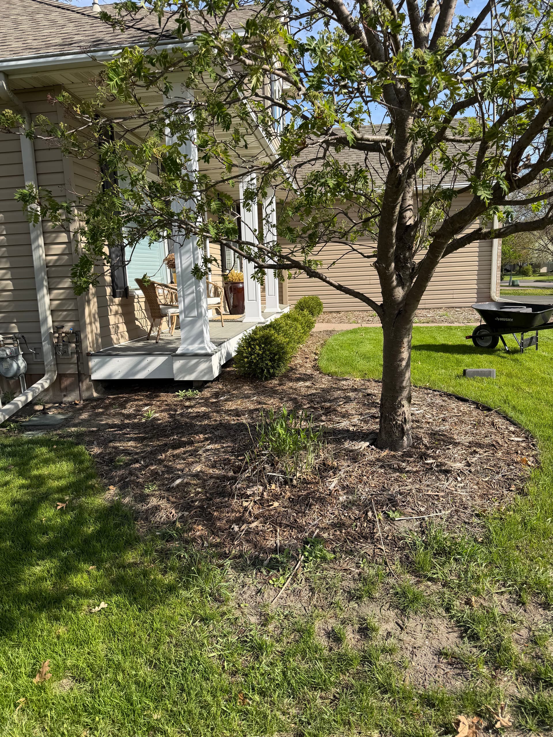 Gallery photos for Landscape Bed Reset with Fresh Mulch and Bullet Edging: Image #4