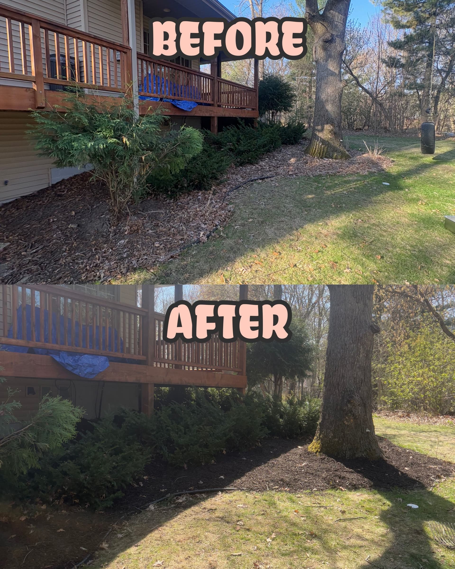 Gallery photos for Fresh Dark Mulch and a Full Yard Clean-Up Done Right: Image #2