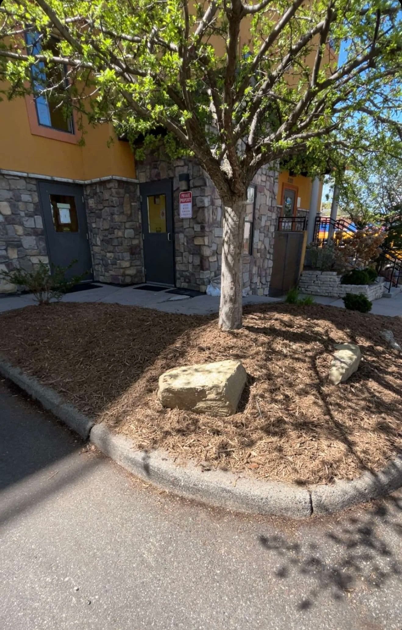 Gallery photos for Commercial Landscape Bed Refresh at Edina Daycare: Image #9