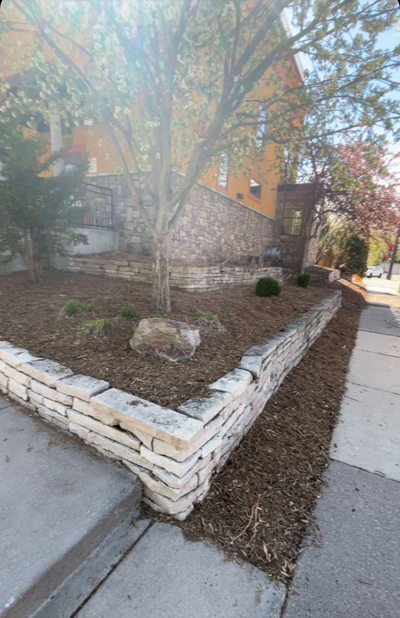 Gallery photos for Commercial Landscape Bed Refresh at Edina Daycare: Image #3
