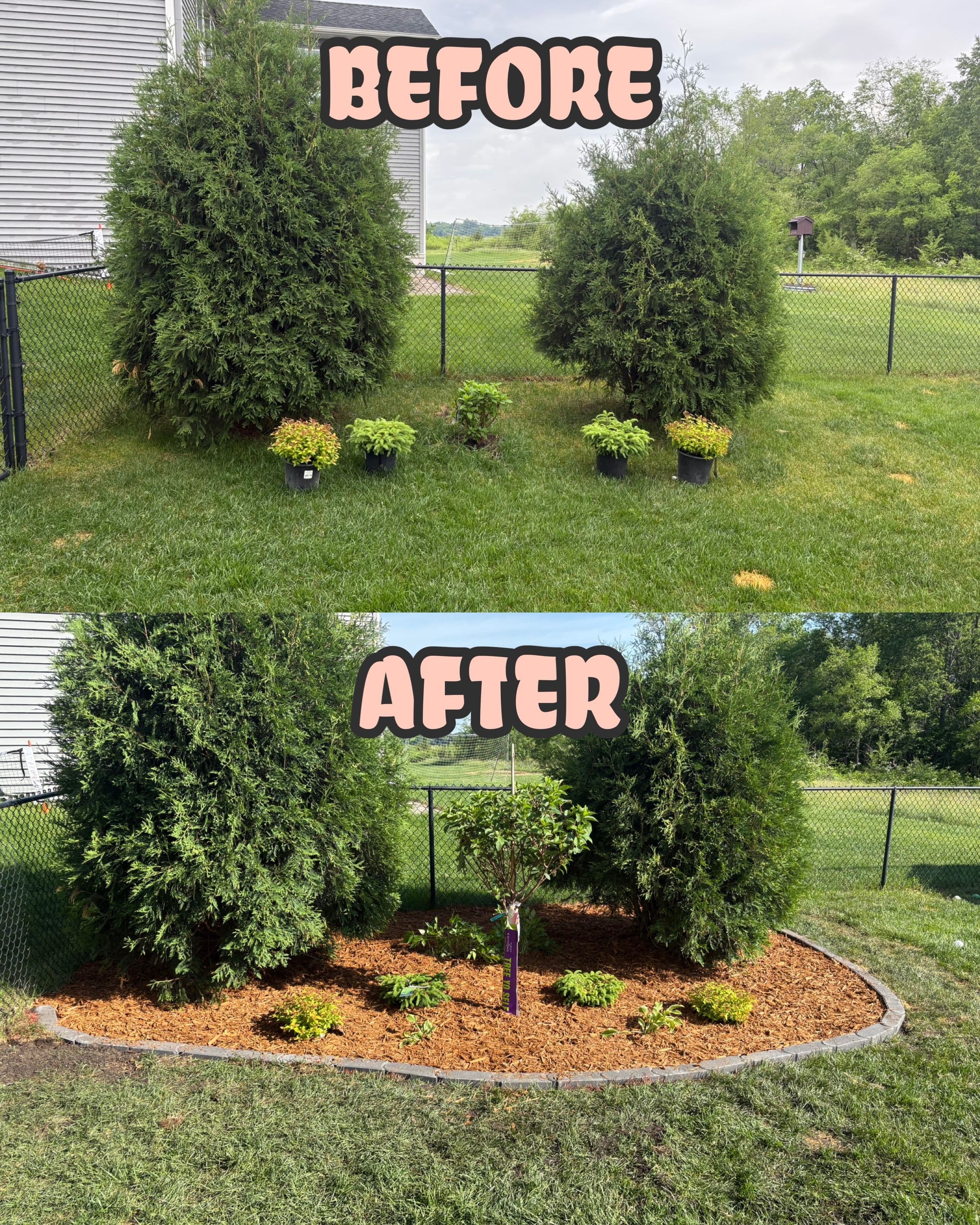 Project Fresh Mulch, New Plants, and a Cleaner Yard Layout image