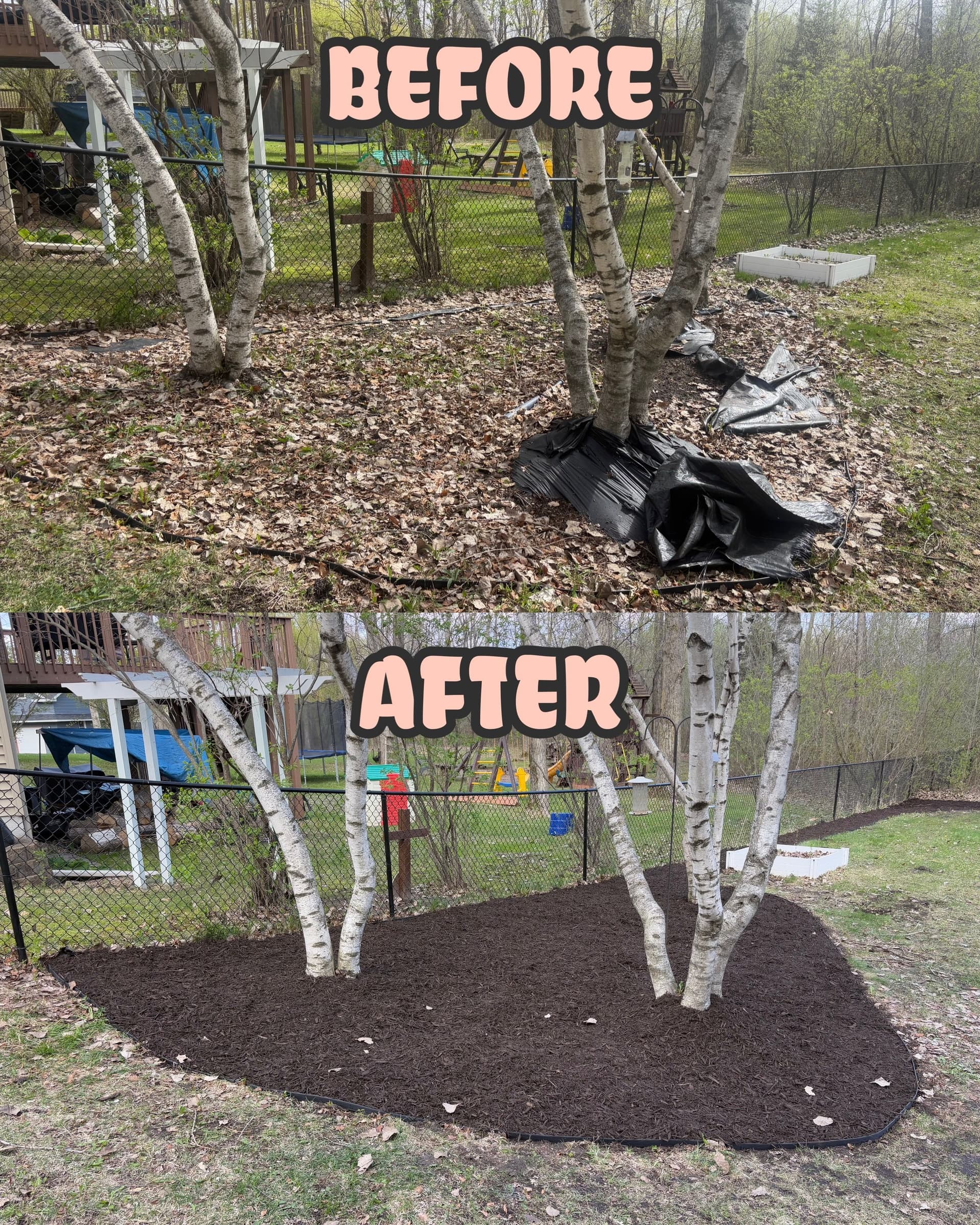 Fresh Mulch and New Fabric Bring Neglected Beds Back to Life image