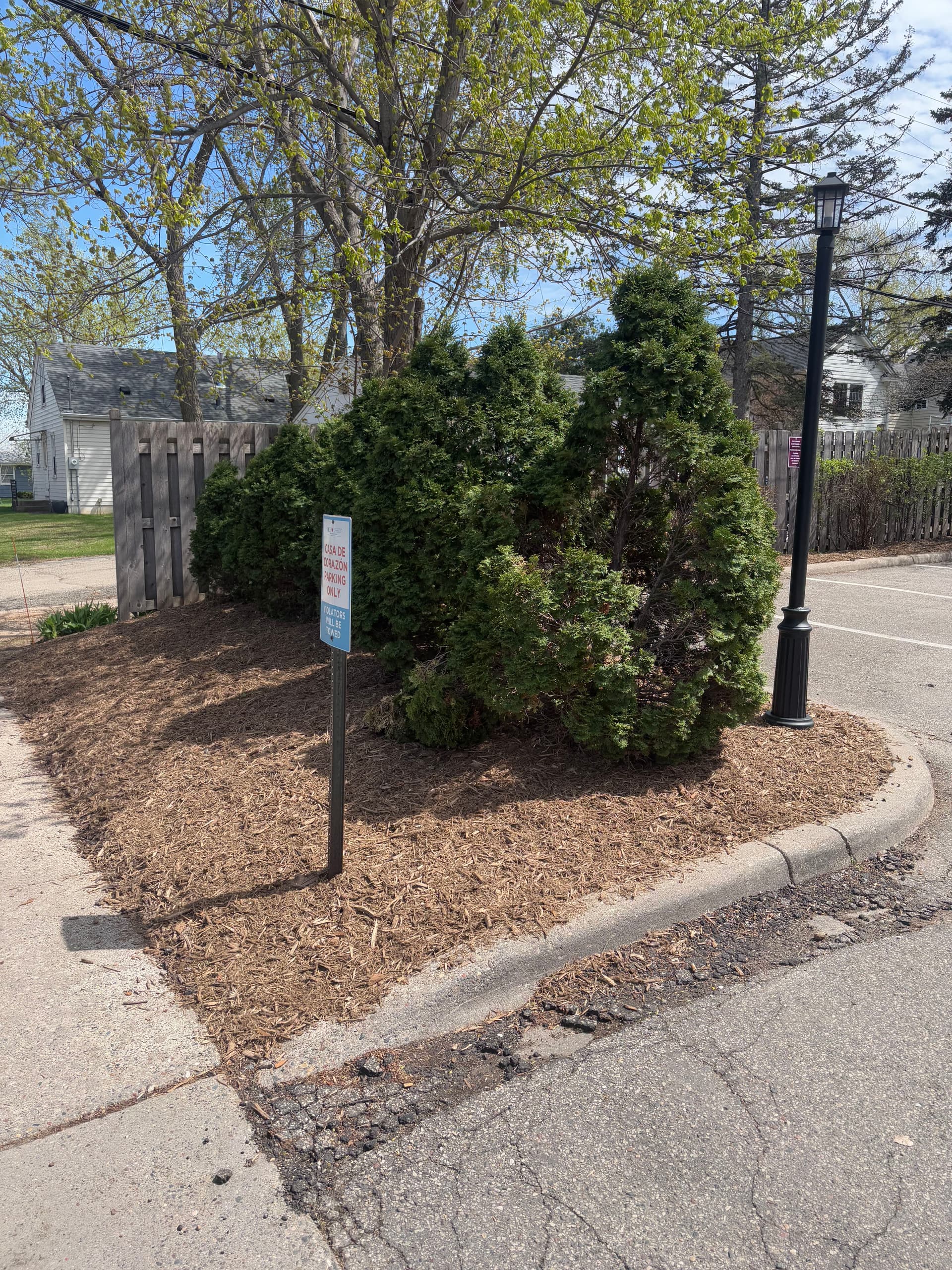 Gallery photos for Commercial Landscape Bed Refresh at Edina Daycare: Image #5