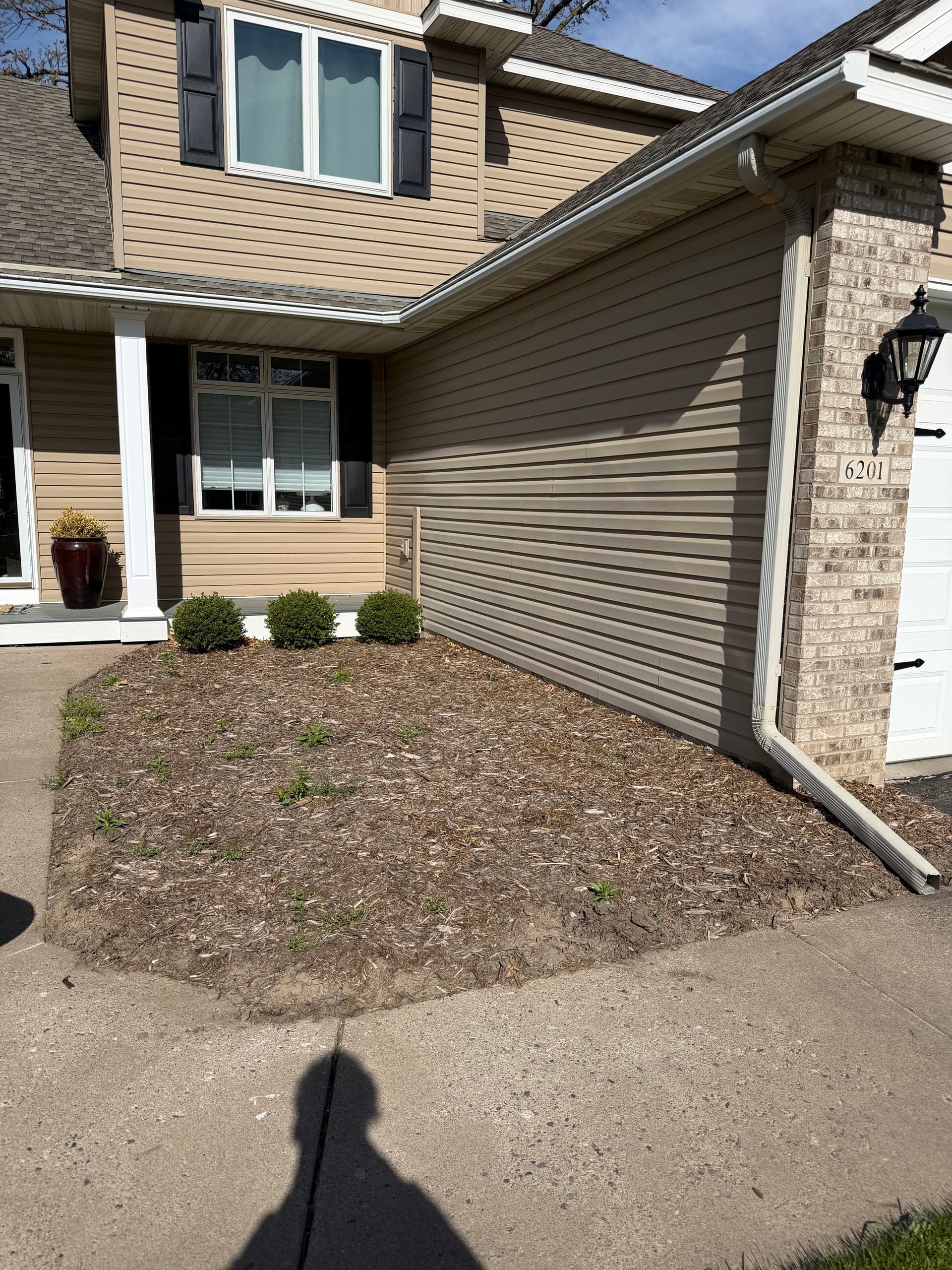 Landscape Bed Reset with Fresh Mulch and Bullet Edging image