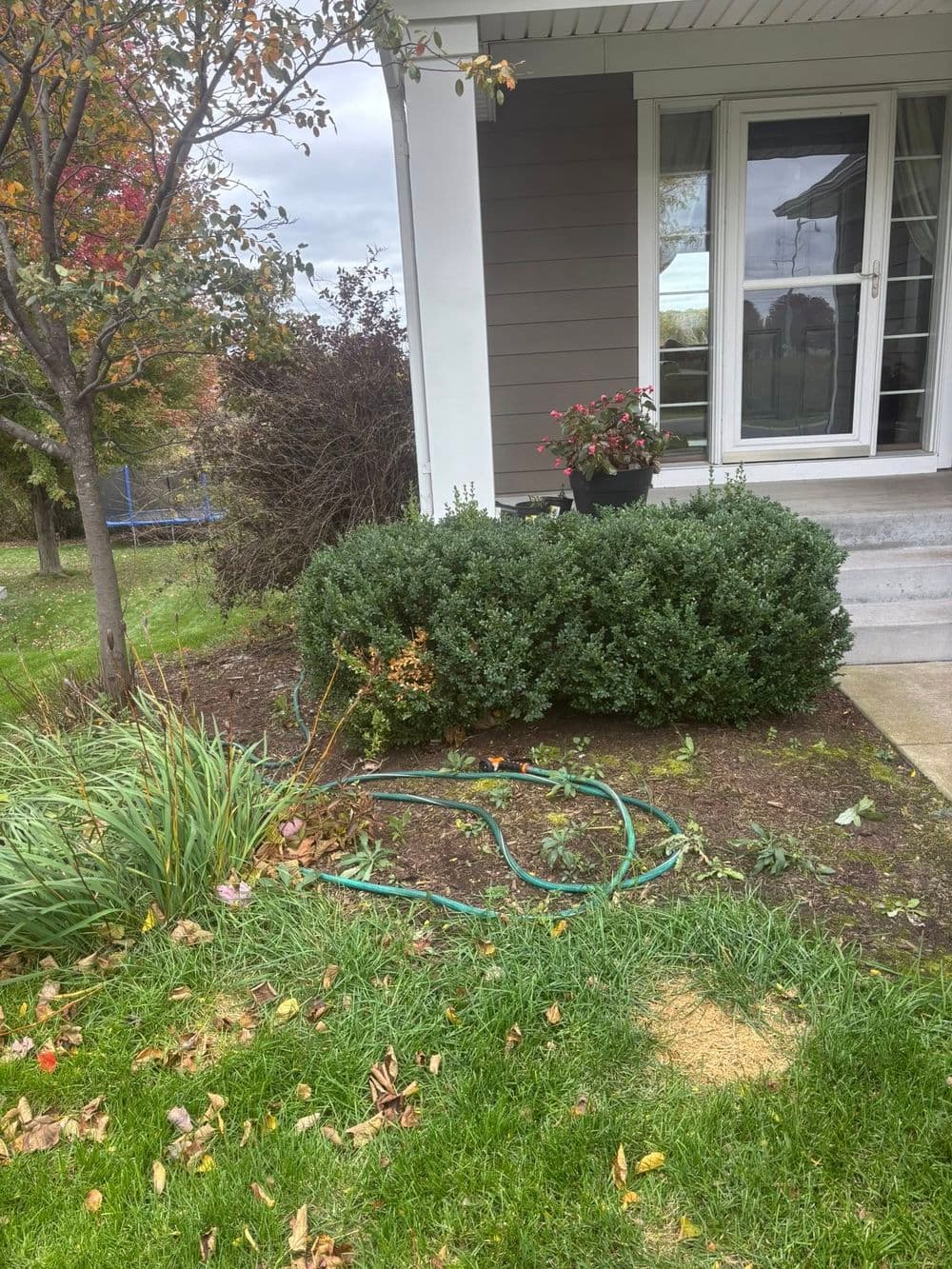 Bush and Mulch Makeover