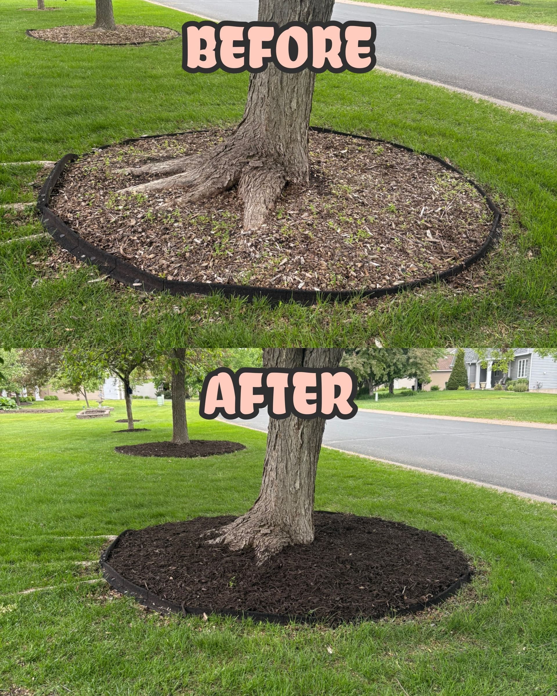 Gallery photos for Fresh Mulch and Clean Beds Make a Huge Difference: Image #2