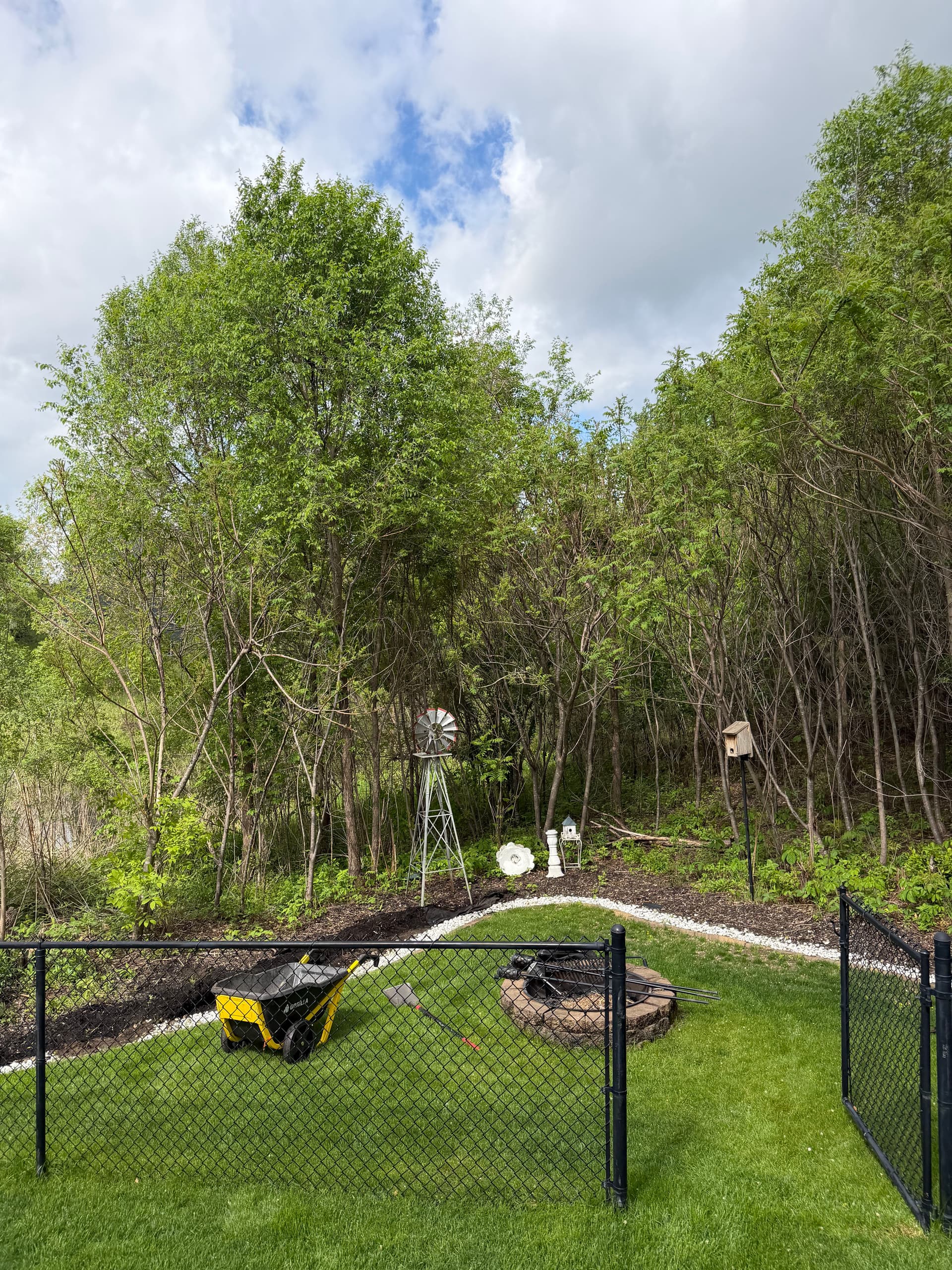 Gallery photos for Backyard Rock and Fabric Install That Actually Stays Clean: Image #2