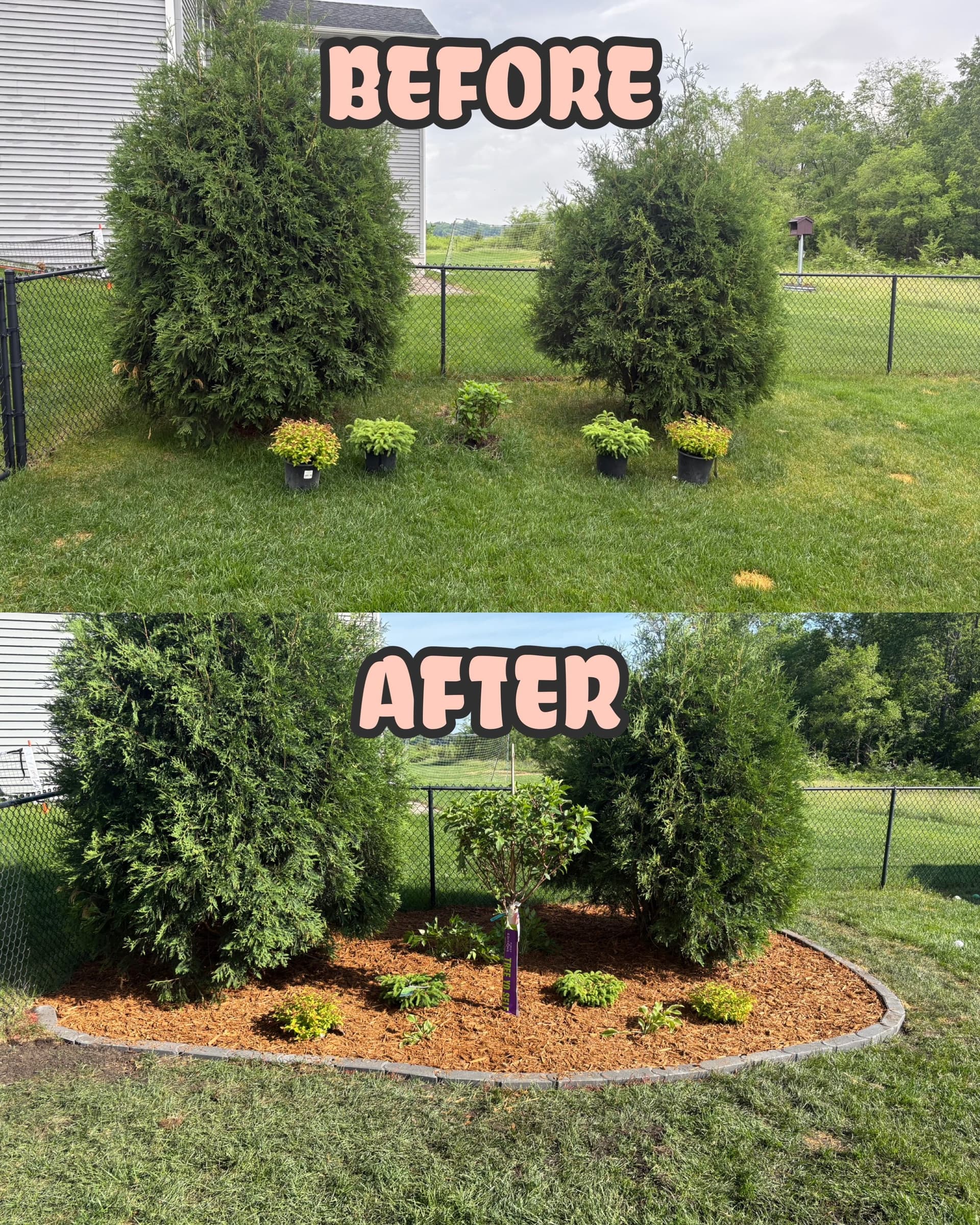 Fresh Mulch, New Plants, and a Cleaner Yard Layout image